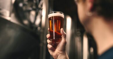 craft beer vs domestic beer